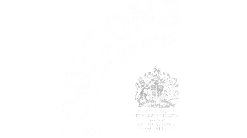 Untitled design (17)